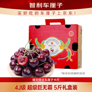 京鮮生 智利車(chē)厘子超級巨無(wú)霸4J 5斤禮盒果徑32-34mm 年貨禮盒 送卡尺