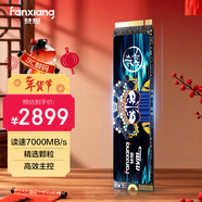 梵想（FANXIANG）4TB SSD固態(tài)硬盤(pán) M.2接口NVMe協(xié)議PCIe4.0x4 PS5臺式機筆記本電腦擴展硬盤(pán) PC存儲配件 S790E