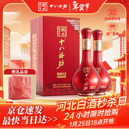 十八酒坊衡水老白干 醇柔典范12 老白干香型白酒39度480ml雙瓶裝