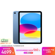 Apple/蘋(píng)果iPad 11英寸 A16芯片2025年款 平板電腦 (256GB eSIM版/學(xué)習辦公娛樂(lè ))藍色