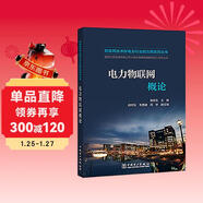 物聯(lián)網(wǎng)技術(shù)在電力行業(yè)的應用系列叢書(shū) 電力物聯(lián)網(wǎng)概論