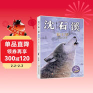 動(dòng)物小說(shuō)大王沈石溪·注音讀本：狼王夢(mèng) 魂斷荒野 兒童故事書(shū) 正版注音版 課外讀物 童書(shū) 兒童書(shū)