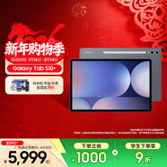 三星（SAMSUNG）Galaxy Tab S10+ 平板電腦12.4英寸 內置AI智享生活/筆記轉錄助力辦公/高亮順滑防眩光全視屏 鈦影灰 12GB+256GB 官方標配