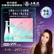 五糧液 29度一見(jiàn)傾心限定禮盒 500mL*2瓶 鄧紫棋代言同款