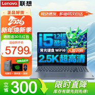 ThinkPad聯(lián)想ThinkBook16 十三代+標壓酷睿i7設計師辦公游戲本 16英寸2.5K屏輕薄手提學(xué)生筆記本電腦 十二核i5-13500H 2.5K超清屏 人臉識別 32G內存 2TB固態(tài) 