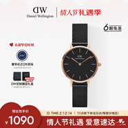 丹尼爾惠靈頓（DanielWellington）DW女士手表小眾輕奢流金鋼帶石英腕表送女友新年禮物DW245