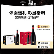 艾帝達姆大星進(jìn)口精釀啤酒禮盒裝750ml整箱小麥白啤皮爾森艾爾年貨送禮 大星750ml6瓶+小星 330mL 12瓶