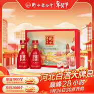 衡水老白干古法釀造中國紅67度老白干香型白酒500ml*2瓶禮盒 年貨春節送禮