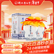 衡水老白干青花手釀老白干香型白酒42度 500ml雙瓶裝純糧口糧酒年貨春節送禮
