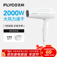 飛科（FLYCO）電吹風(fēng)機家用發(fā)廊大功率2000W速干恒溫便攜可折疊白色FH6232