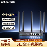 磊科（netcore） B6全千兆企業(yè)級無(wú)線(xiàn)路由器 多WAN口 5G雙頻1200M家用高速穿墻鐵殼