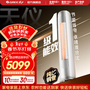 格力（GREE）天儀 新一級能效  變頻自清潔 客廳圓柱空調立式柜機 家電國家補貼 以舊換新 天儀 新一級能效 2匹