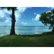 玉蘭油（OLAY）潔面洗面奶大紅瓶?jì)纛伹咄笣嵜嫒榭赜蜕顚忧鍧?OLAY新升級大紅瓶潔面乳125g