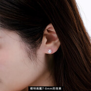 天使之淚S925銀淡水珍珠耳釘珍珠耳飾簡(jiǎn)約百搭素耳釘7-8mm