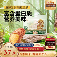 三只松鼠 紫皮腰果500g/袋 堅果炒貨干果休閑零食送禮一斤裝混發(fā) 