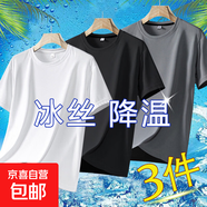 夏季冰絲t恤男士運動(dòng)涼感網(wǎng)眼透氣薄款半袖寬松大碼純色上衣速干T 【網(wǎng)眼短袖】白色+黑色+深灰 5XL  【建議160-180斤】