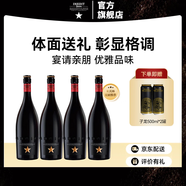 艾帝達姆大星進(jìn)口精釀啤酒禮盒裝750ml整箱小麥白啤皮爾森艾爾年貨送禮 750mL 4瓶