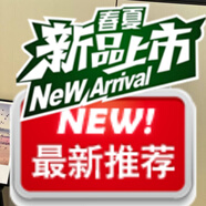 啄木鳥(niǎo)（TUCANO）條紋露肩拼接短袖雪紡襯衫女上衣設計感小眾時(shí)尚洋氣減齡襯衣小衫 藍色 3XL