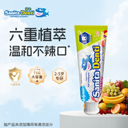 sanita-denti莎卡兒童牙膏 嬰幼兒牙膏兒童牙膏防齲齒無(wú)氟牙膏防蛀2-5歲水果味