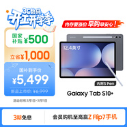 三星 Samsung【國家補貼】S10+ 12.4英寸平板電腦/AI智享學(xué)習/防眩光全視屏 12GB+256GB 鈦影灰WIFI