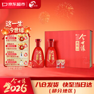 今世緣典藏10 濃香型白酒 42度 500ml*2瓶 禮盒裝