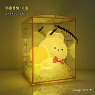 暖橙耀耀圣誕節禮物卡通小夜燈裝飾擺件生日實(shí)用小禮品送男孩女孩伴手禮 郁金香兔+精美禮盒