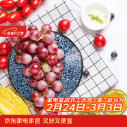 美濃燒 日本進(jìn)口陶瓷盤(pán)子創(chuàng  )意餐具日式菜盤(pán)碟子家用餃子壽司深盤(pán)水果盤(pán) 五件套 五個(gè)不同花色 8英寸