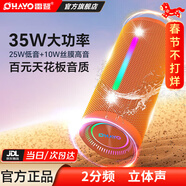 雷登（OHAYO）X10MAX無(wú)線(xiàn)便攜式藍牙音箱2025新款重低音炮大音量高音質(zhì)戶(hù)外迷你小型自行車(chē)騎行小音響防水音箱 2分頻【傳奇音質(zhì)】35W賽道揚聲器-橙 防塵防水+超長(cháng)續航【當/次日達】