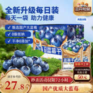 三只松鼠每日藍莓干256g/16包 無(wú)添加水果干果脯小包裝兒童老人辦公室零食