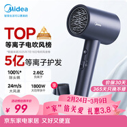 美的（Midea）5億等離子護發(fā)電吹風(fēng) 家用負離子吹風(fēng)筒 1800W大功率快干 便攜吹風(fēng)機 FJ308藍 節日/生日禮物推薦