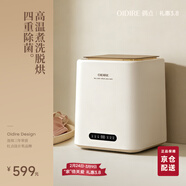 OIDIRE（偶點(diǎn)）內衣洗衣機 高溫煮洗殺菌迷你洗衣機小型內褲洗衣機內衣褲洗襪子專(zhuān)用全自動(dòng)洗脫烘清洗機 ODI-XYJ13A【煮洗+304桶+離子+烘干】