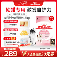 皇家幼貓貓糧 幼貓奶糕 K36 通用糧 4-12月 4.5KG