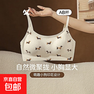 抹胸內衣女薄款小胸聚攏2026新款舒適無(wú)痕軟支撐萌趣小狗印花文胸 V領(lǐng)白色（套裝） M 【適用于34/75AB罩杯】