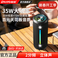 雷登（OHAYO）X10MAX無(wú)線(xiàn)便攜式藍牙音箱2026新款重低音炮大音量高音質(zhì)戶(hù)外迷你小型自行車(chē)騎行小音響防水音箱 2分頻【傳奇音質(zhì)】35W賽道揚聲器-黑 防塵防水+超長(cháng)續航【當/次日達】