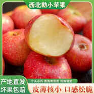 云南西北勒小蘋(píng)果新鮮小蘋(píng)果脆甜小蘋(píng)果丑蘋(píng)果現摘當季水果5斤/y 【9斤中果】云南西北勒小蘋(píng)果 性?xún)r(jià)比之選