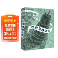 穿鏡人：巴別塔的記憶 奇幻魔法小說(shuō) 四五六年級初中小學(xué)生課外閱讀書(shū)籍 經(jīng)典兒童圖書(shū) 類(lèi)哈利波特魔戒 10-11-12-13-14歲國際大獎  