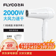 飛科（FLYCO）電吹風(fēng)機家用發(fā)廊大功率2000W速干恒溫便攜可折疊白色FH6232