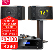山水（SANSUI）FK-101 家庭K歌家用電視卡拉OK唱歌10寸12寸點(diǎn)唱一體機KTV客廳音響套裝會(huì )議室卡包教學(xué)娛樂(lè )大音箱 FK121三分頻10單元音箱+功放+美聲話(huà)筒