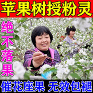 植翠蘋(píng)果專(zhuān)用樹(shù)授粉花粉人工大櫻桃獼猴桃草梅坐座果精神催花?；ǚ?10包裝【下單送噴壺】
