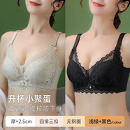都市麗人內衣女小胸聚攏收副乳防下垂大胸顯小無(wú)痕性感蕾絲文胸罩 淺綠+黑色[2件更劃算性感蕾絲 M  40/90AB[2XL/2.5c上薄下厚]