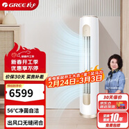 格力（GREE）2匹京桂II 新一級能效變頻冷暖凈菌自潔 純銅管立柜式空調柜機 KFR-50LW/(50587)FNhAd-B1(JDWIFI)