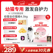 皇家幼貓貓糧 幼貓奶糕 K36 通用糧 4-12月 4.5KG