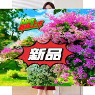 羅蒙（ROMON）紅色長(cháng)袖連衣裙女人味氣質(zhì)顯瘦超好看包臀開(kāi)叉裙子 黑色 M