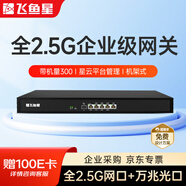 飛魚(yú)星全2.5g企業(yè)路由器 雙WAN行為管理帶寬疊加內置AC帶機300臺  NAS適用VE1520XE