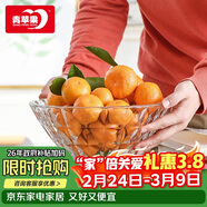 青蘋(píng)果新年禮物水晶系列玻璃果盤(pán)大號輕奢家用客廳婚慶裝飾9.4英寸