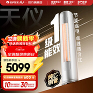 格力（GREE）天儀 新一級能效  變頻自清潔 客廳圓柱空調立式柜機 家電國家補貼 以舊換新 天儀 新一級能效 2匹