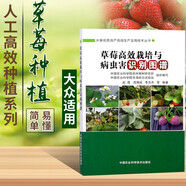 草莓高效栽培與病蟲(chóng)害識別圖譜 草莓病蟲(chóng)害防治技術(shù)種植書(shū)籍大全 育苗管理栽培技術(shù) 大棚草莓種植技術(shù) 現代農業(yè)草莓書(shū)籍 種草莓書(shū) 中國農業(yè)科學(xué)技術(shù)出版社