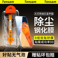 Tensam【秒貼2片裝】適用一加手機鋼化膜OPPO OnePlus防窺膜1+全系列無(wú)塵倉全屏保護貼膜 一加9/9R 臻選無(wú)塵艙 | 電鍍高清款【2套裝】