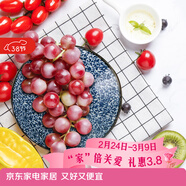 美濃燒 日本進(jìn)口陶瓷盤(pán)子創(chuàng  )意餐具日式菜盤(pán)碟子家用餃子壽司深盤(pán)水果盤(pán) 五件套 五個(gè)不同花色 8英寸