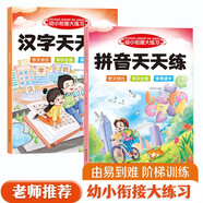 幼小銜接入學(xué)準備練習冊 拼音漢字天天練（共2冊） 幼小銜接大練習 一日一練漢字描紅3-6歲學(xué)前班練習冊 幼兒園學(xué)前啟蒙幼升小必備輔導書(shū)